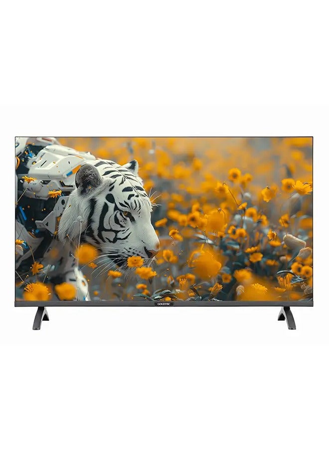 GoldTec 40 Inch, FHD LED TV -